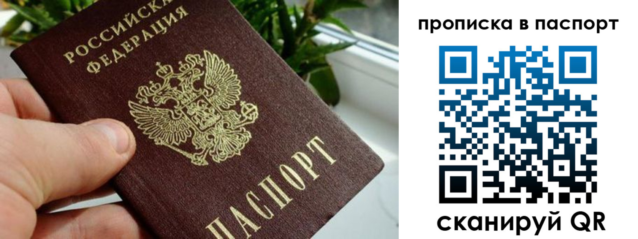 пропишу в квартире в Алагире